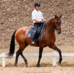 Empreiteiro Interagro & Edmar Brito winning Fourth Level test at 3rd phase of Interagro Dressage Ranking