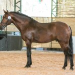 Empreiteiro_Interagro_TUPA