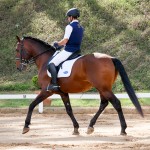 Empreiteiro Interagro at 2nd phase of Interagro Dressage Ranking 2018