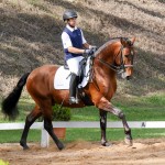 Empreiteiro Interagro at 2nd phase of Interagro Dressage Ranking 2018