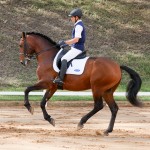 Empreiteiro Interagro at 2nd phase of Interagro Dressage Ranking 2018
