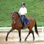 Empreiteiro Interagro/Interagro Lusitanos