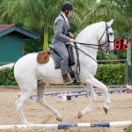 Eros Interagro/Interagro Lusitanos