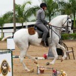 Eros Interagro/Interagro Lusitanos