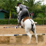 Eros Interagro/Interagro Lusitanos