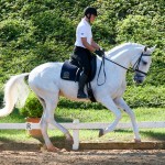 Eros Interagro/Interagro Lusitanos