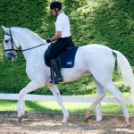 Eros Interagro/Interagro Lusitanos