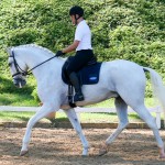 Eros Interagro/Interagro Lusitanos