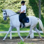 Eros Interagro/Interagro Lusitanos