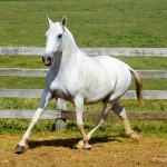 Esfinge Interagro/Martina Brandes