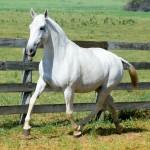 Esfinge Interagro/Martina Brandes