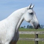 Esfinge Interagro/Martina Brandes