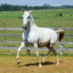 Espora Interagro/Martina Brandes