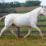 Etoile Interagro/Martina Brandes