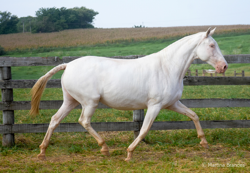 Etoile Interagro/Martina Brandes