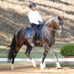 Edmar Brito & Fellini Interagro, 3rd place Small Tour/PSG at the 2nd phase of 2019 Interagro Dressage Ranking/Interagro Lusitanos