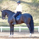 Edmar Brito & Fellini Interagro, 3rd place Small Tour/PSG at the 2nd phase of 2019 Interagro Dressage Ranking/Interagro Lusitanos