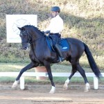 Edmar Brito & Fellini Interagro, 3rd place Small Tour/PSG at the 2nd phase of 2019 Interagro Dressage Ranking/Interagro Lusitanos