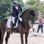 Fellini Interagro, Wellington, FL AGDF 2018 March 1st/Interagro Lusitanos