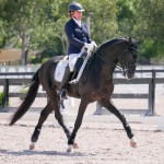 Fellini Interagro, Wellington, FL AGDF 2018 March 1st/Interagro Lusitanos