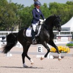 Fellini Interagro, Wellington, FL AGDF 2018 March 1st/Interagro Lusitanos