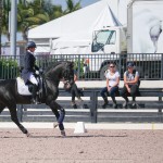 Fellini Interagro, Wellington, FL AGDF 2018 March 17/Interagro Lusitanos