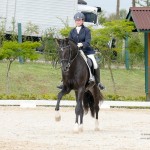 Fellini Interagro/Interagro Lusitanos