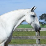 Gira Interagro/Martina Brandes