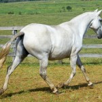 Gira Interagro/Martina Brandes