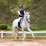 Gladiador at 2nd phase of Interagro Dressage Ranking 2018