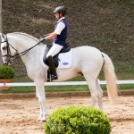 Gladiador at 2nd phase of Interagro Dressage Ranking 2018