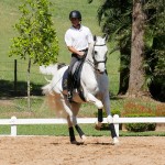 Gladiador Interagro/Interagro Lusitanos 08/2018