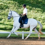 Edmar Brito & Hermus Interagro/Interagro Lusitanos