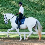 Edmar Brito & Hermus Interagro/Interagro Lusitanos