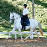 Edmar Brito & Hermus Interagro/Interagro Lusitanos