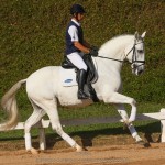 Hermus Interagro/TUPA