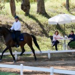 Ímpio Interagro & Alexandre Souza, 1st place Third Level at the 2nd phase of 2019 Interagro Dressage Ranking/Interagro Lusitanos