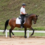 Ímpio Interagro at 2nd phase of Interagro Dressage Ranking 2018