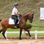 Ímpio Interagro at 2nd phase of Interagro Dressage Ranking 2018