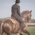 Divisadero Interagro, chestnut Lusitano stallion