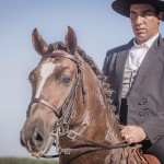Divisadero Interagro, chestnut Lusitano stallion