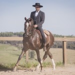 Divisadero Interagro, chestnut Lusitano stallion