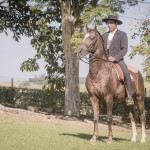 Divisadero Interagro, chestnut Lusitano stallion