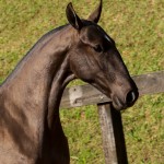 Livia Interagro/TUPA