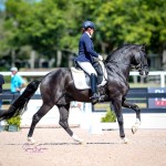 Fellini Interagro AGDF 2018 ©susanjstickle.com