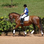 Quebracho Interagro/Julia Wenstcher
