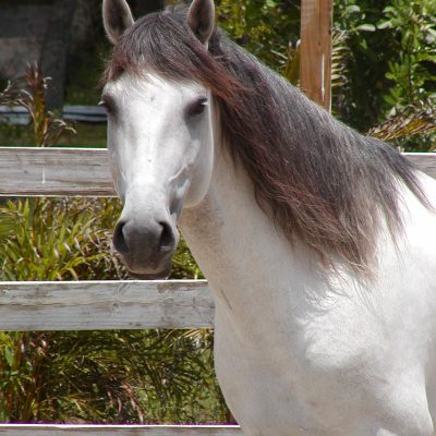 Ultramundano Interagro