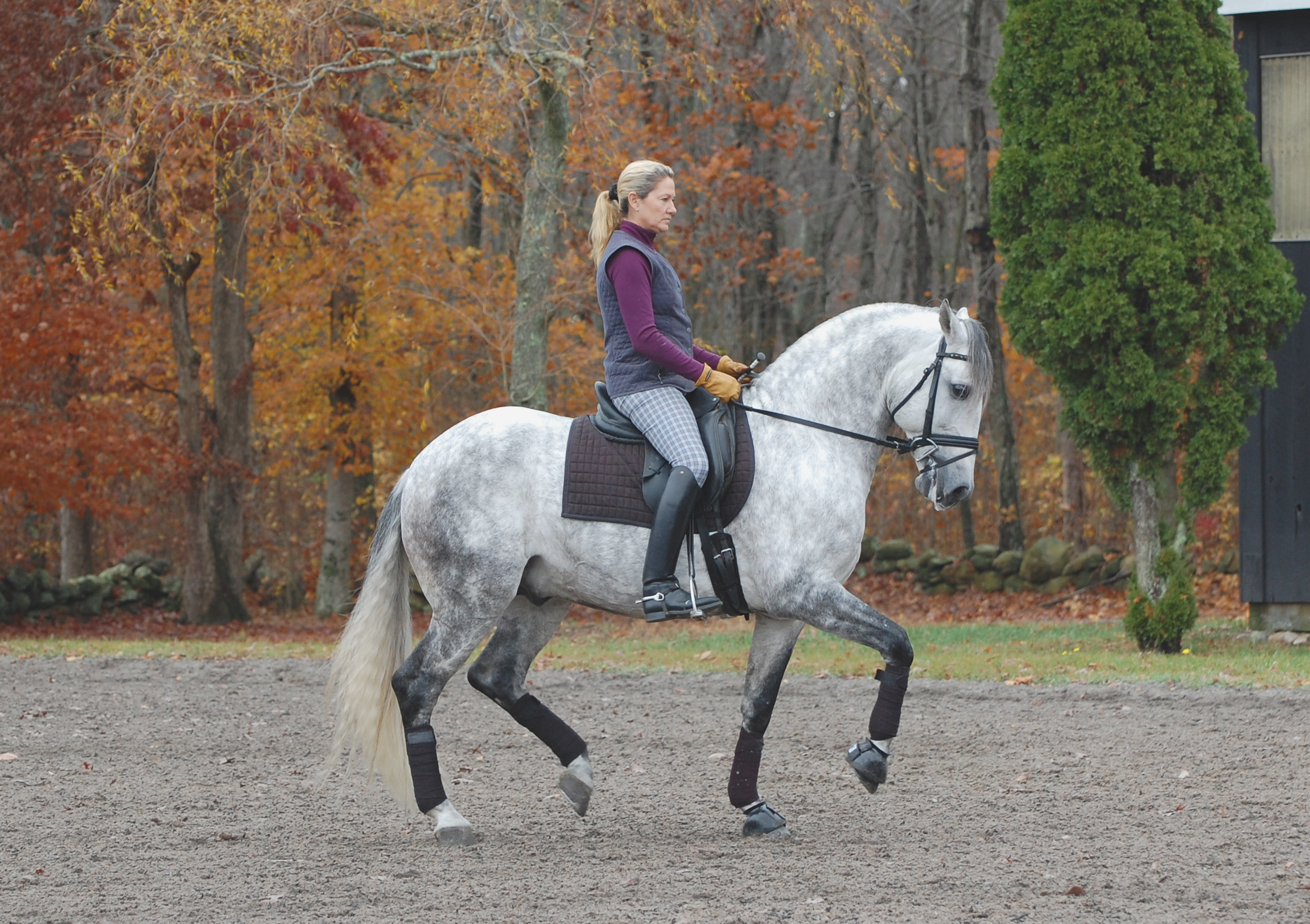 Umbar Interagro/Tina Konyot