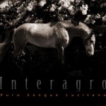 Umbar Interagro/Johnny Duarte