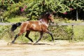 Urrante Interagro/Johnny Duarte